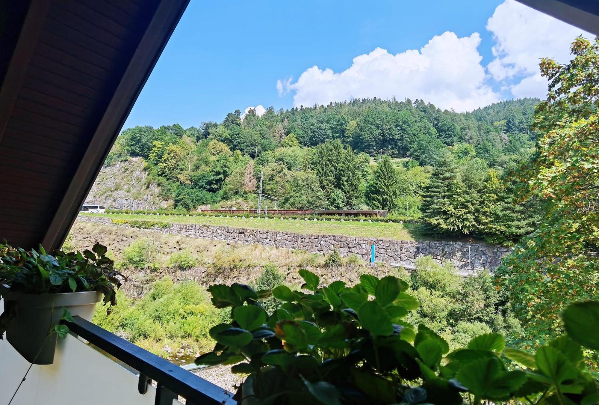 Das Waldhaus Forbach Bilik gambar